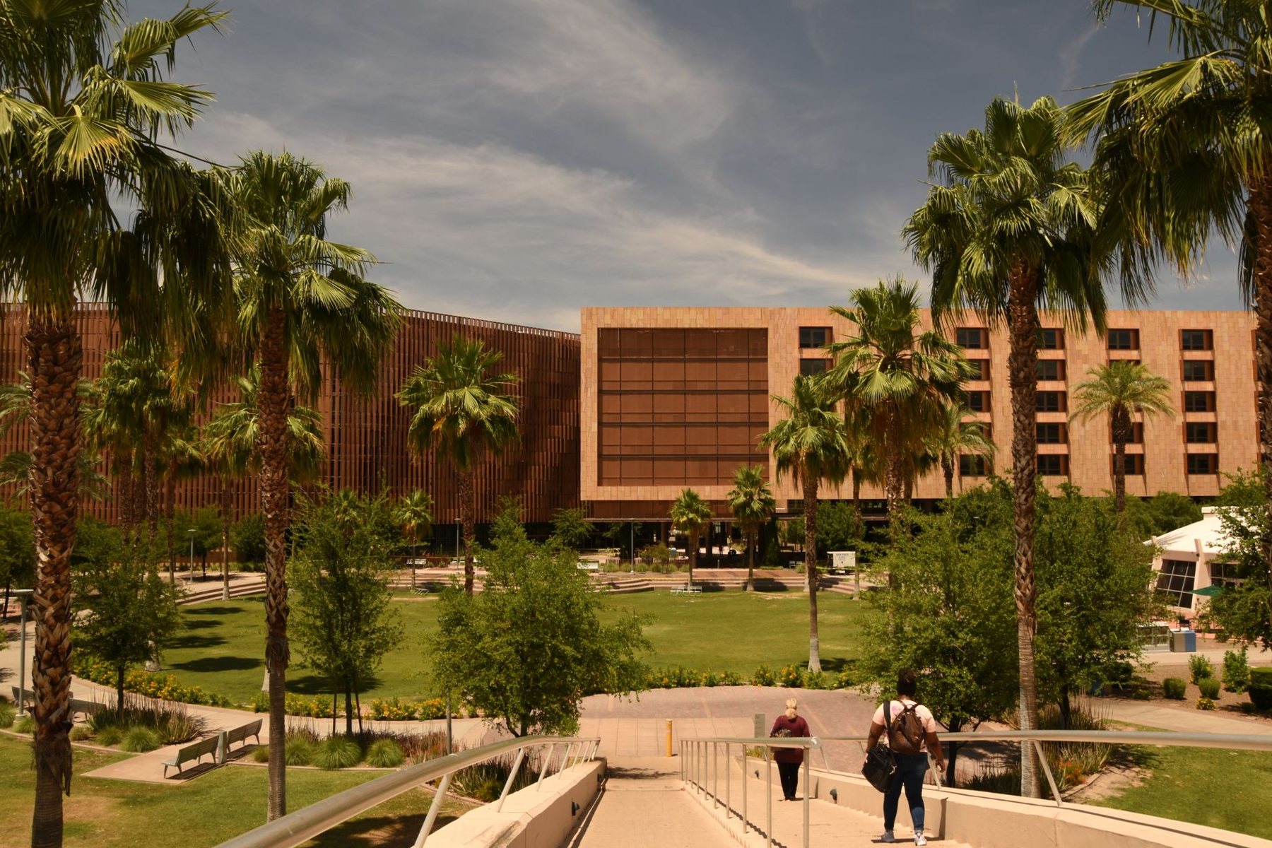 Commercial & HOA Turf in Phoenix AZ